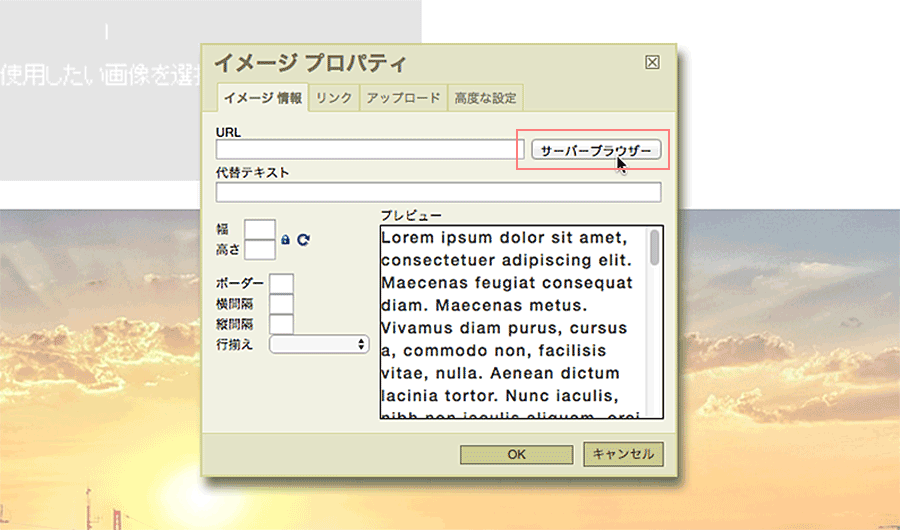 イメージプロパティのサーバーブラウザボタンをクリックする