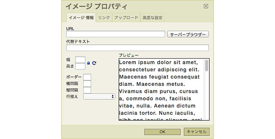 イメージプロパティダイアログのイメージ情報タブ